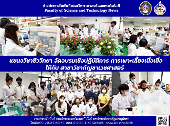 แขนงวิชาชีววิทยา จัดอบรมเชิงปฏิบัติการ
การเพาะเลี้ยงเนื่อเยื่อ  ให้กับ
สาขาวิชากัญชาเวชศาสตร์