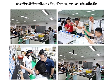 สาขาวิชาชีววิทยาสิ่งแวดล้อม
จัดอบรมการเพาะเลี้ยงเนื้อเยื้อ