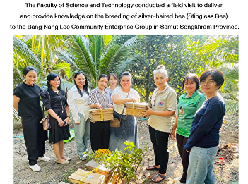 The Faculty of Science and Technology
conducted a field visit to deliver and
provide knowledge on the breeding of
silver-haired bee (Stingless Bee) to the
Bang Nang Lee Community Enterprise Group
in Samut Songkhram Province.